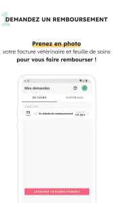 Santévet screenshot