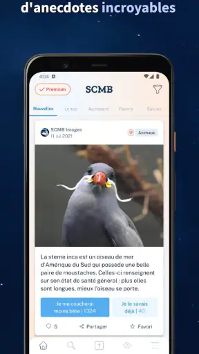 Se Coucher Moins Bête screenshot 1