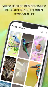 Sonneries Chants D'oiseaux screenshot