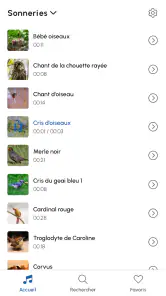 Sonneries Chants D'oiseaux screenshot