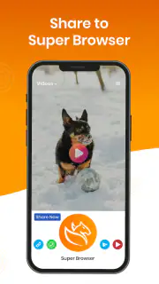 Super Browser: Fast & Private screenshot 2