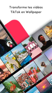 TickTock-TikTok Live Wallpaper screenshot