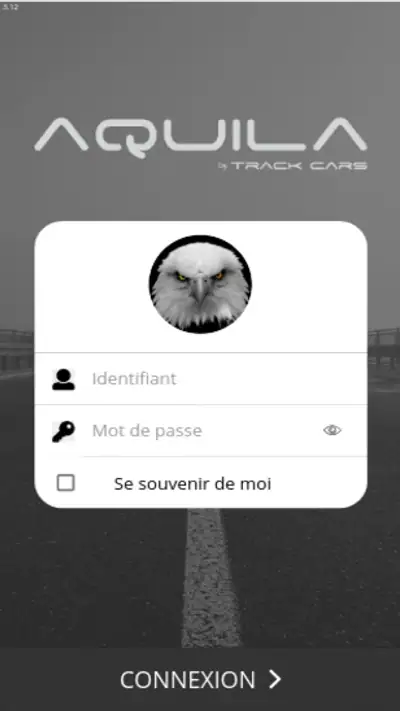 Track Cars screenshot 1