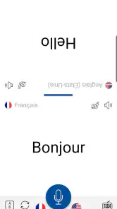 Traduction Vocale Instant screenshot