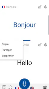 Traduction Vocale Instant screenshot