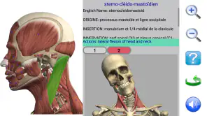 Visual Anatomy 2 screenshot 1