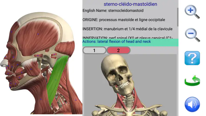 Visual Anatomy 2 screenshot 1