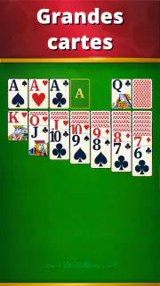 Vita Solitaire pour seniors screenshot 2