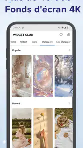 Widget & Icône : Thèmes Phone screenshot