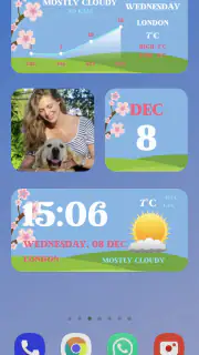 Widgets Color Widgets + Icons screenshot 2