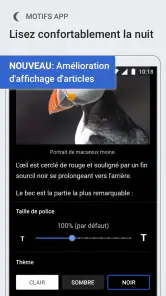Wikipédia screenshot