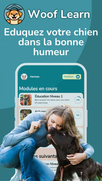 WoofLearn : Éducation du Chien screenshot 1