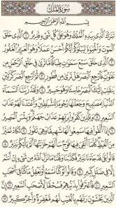القرآن الكريم - مصحف المدينة screenshot