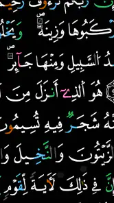 مصحف التجويد الملون برواية ورش screenshot