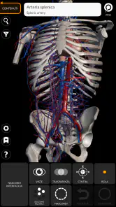 Anatomia - Atlante 3D screenshot