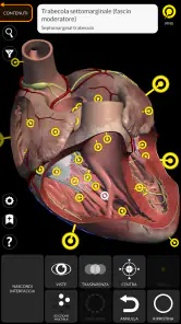 Anatomia - Atlante 3D screenshot
