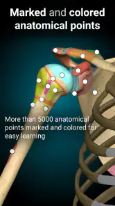Anatomy Learning - Anatomía 3D screenshot