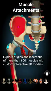 Anatomy Learning - Anatomía 3D screenshot 4