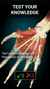 Anatomy Learning - Anatomía 3D screenshot