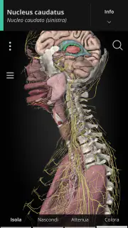 Anatomyka - Anatomia 3D screenshot 1