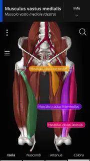 Anatomyka - Anatomia 3D screenshot 2