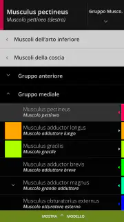 Anatomyka - Anatomia 3D screenshot 3