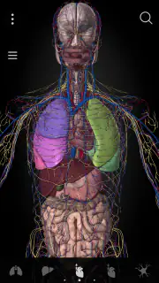 Anatomyka - Anatomia 3D screenshot 8