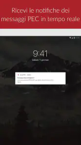 Aruba PEC screenshot