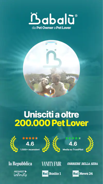 Babalù | Pet Owner->Pet Lover screenshot 1