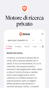 Brave Browser Web VPN Privato screenshot