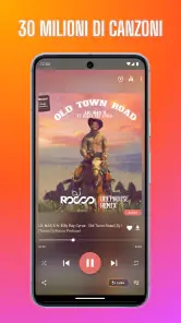 Downloader Lettore musicale screenshot