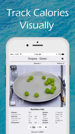 Figwee Visual Food Diary screenshot 1