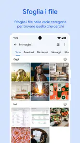 Files by Google screenshot