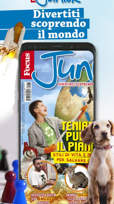 Focus Junior screenshot 1