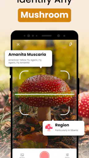 Funghi Riconoscimento Italiano screenshot 1