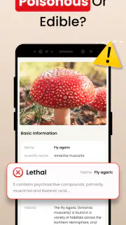 Funghi Riconoscimento Italiano screenshot 8