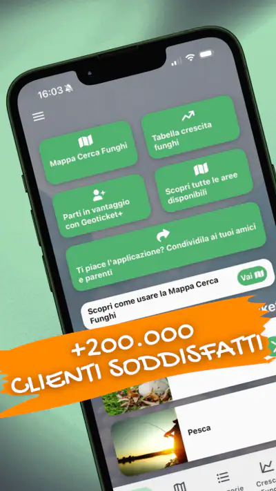 Geoticket screenshot 1