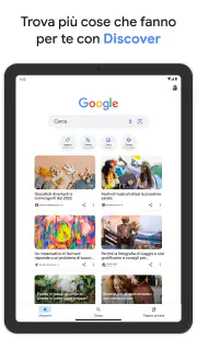 Google screenshot 6
