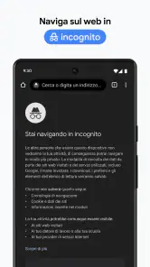 Google Chrome screenshot