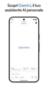 Google Gemini screenshot