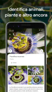 Google Lens screenshot