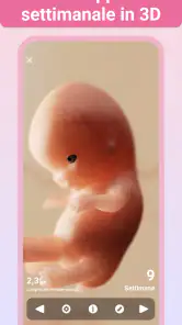 Gravidanza +| Maternità App screenshot