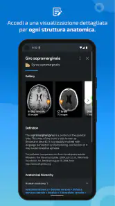 IMAIOS e-Anatomy screenshot