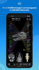 IMAIOS vet-Anatomy screenshot
