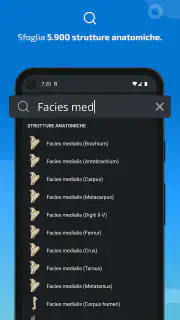 IMAIOS vet-Anatomy screenshot 3