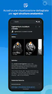 IMAIOS vet-Anatomy screenshot 5