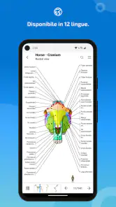 IMAIOS vet-Anatomy screenshot