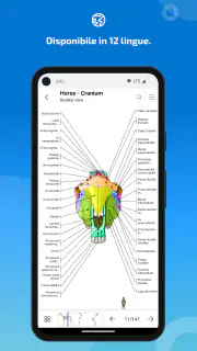 IMAIOS vet-Anatomy screenshot 7