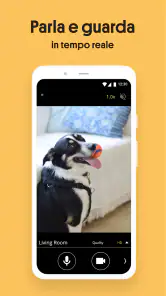 Alfred Camera: IP Camera screenshot