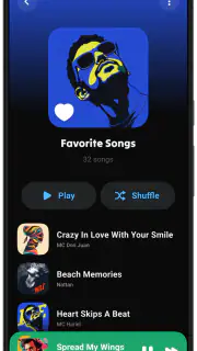 Lark Player: Lettore musicale screenshot 3